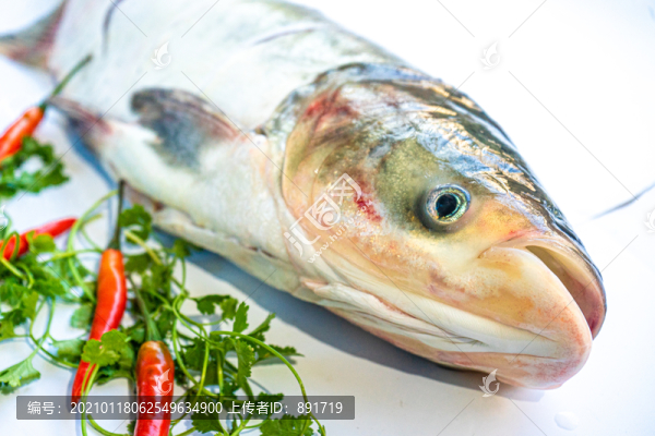 魚頭