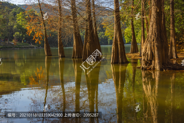 白云山