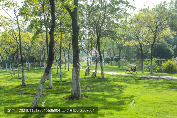 公園