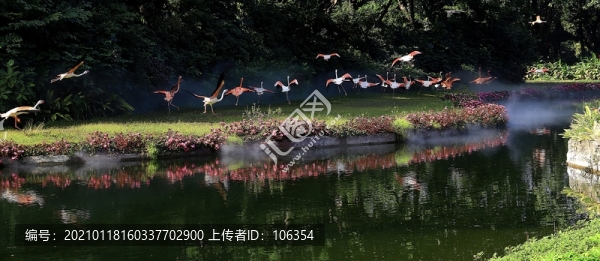 長(zhǎng)隆飛鳥樂園
