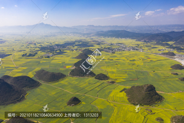 云南曲靖羅平縣油菜花