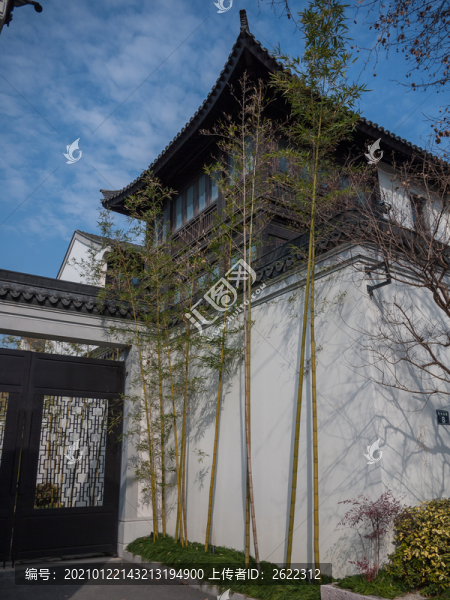 門前修竹