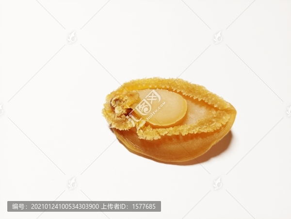 鮑魚