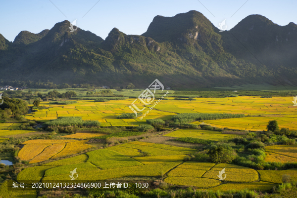 秋景
