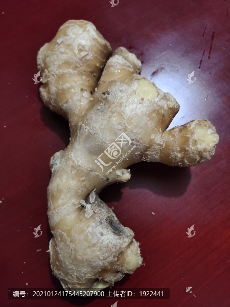 生姜特寫