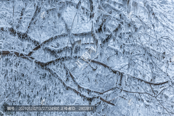 四川川西甘孜瀘定縣海螺溝雪景