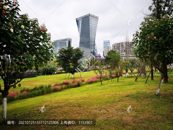 桂溪生態(tài)公園