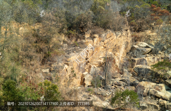 石山上樹(shù)林突起