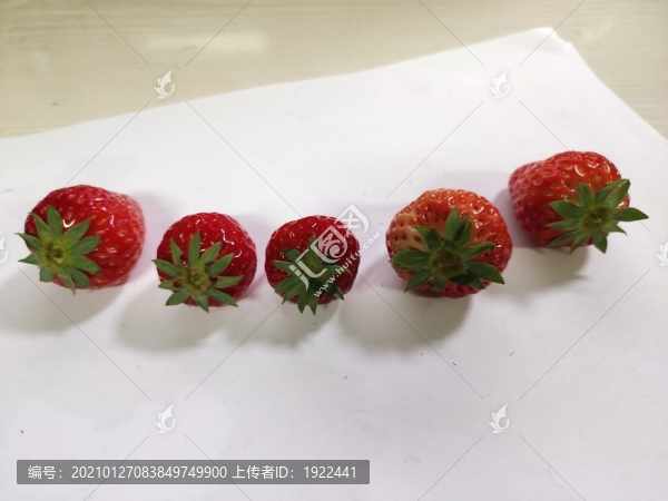 奶油草莓擺拍