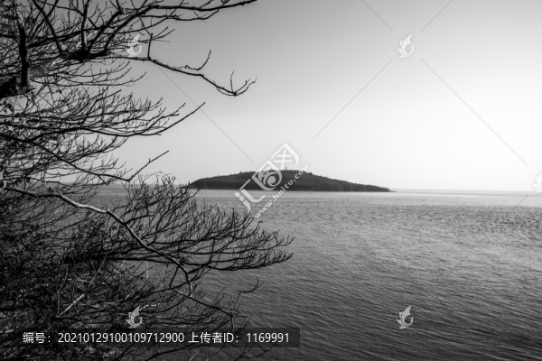 錢塘江剪影