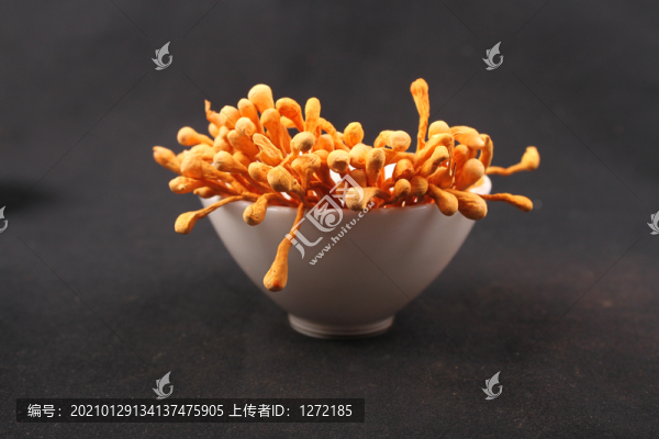 蟲草花