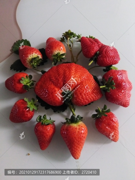 草莓