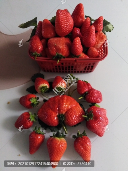 草莓