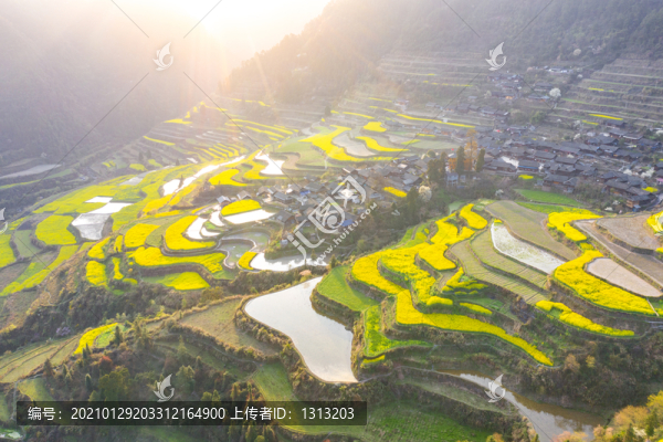 湖南湘西巖排溪梯田油菜花