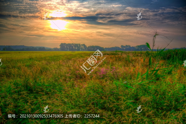 田園田野美景