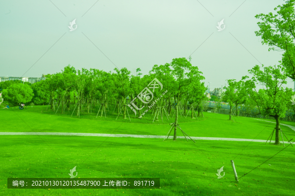樹林綠地