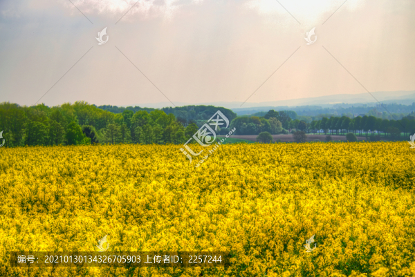 田園田野風(fēng)景