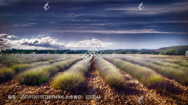 田園田野風(fēng)景