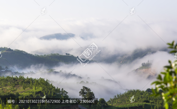 高原晨霧