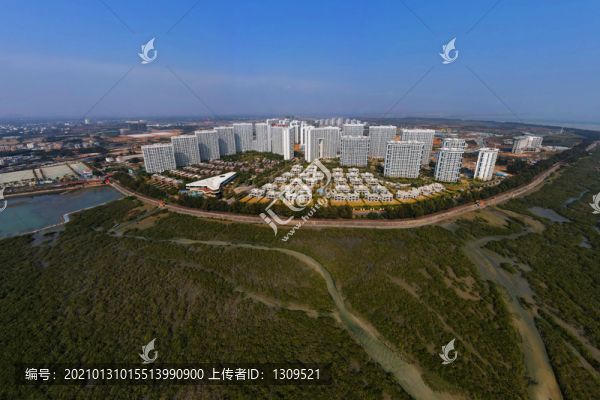 廣西北海金海灣紅樹林