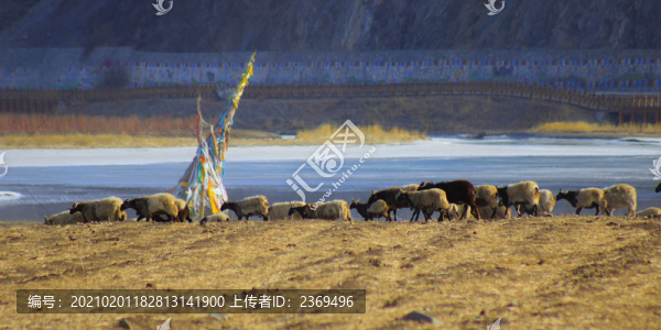 桑科風(fēng)光