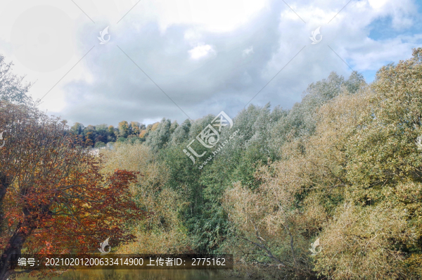 秋日山野