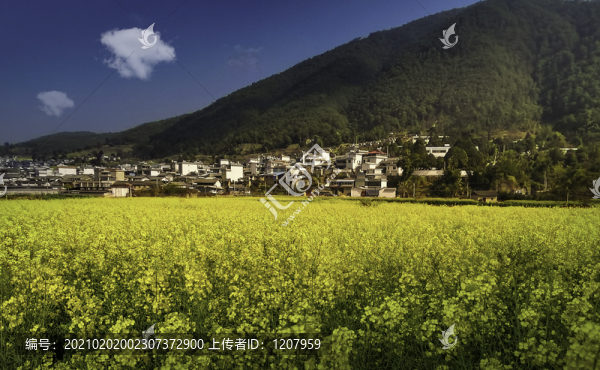 美麗農(nóng)村