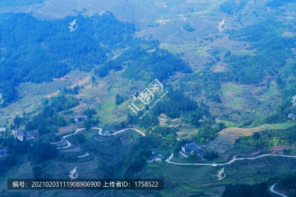 田園風(fēng)光