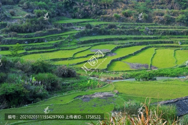 田園風(fēng)光