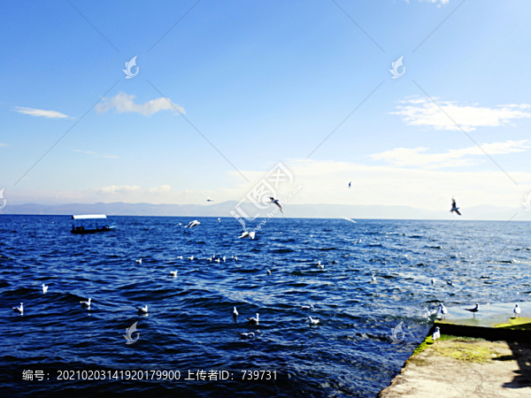 撫仙湖