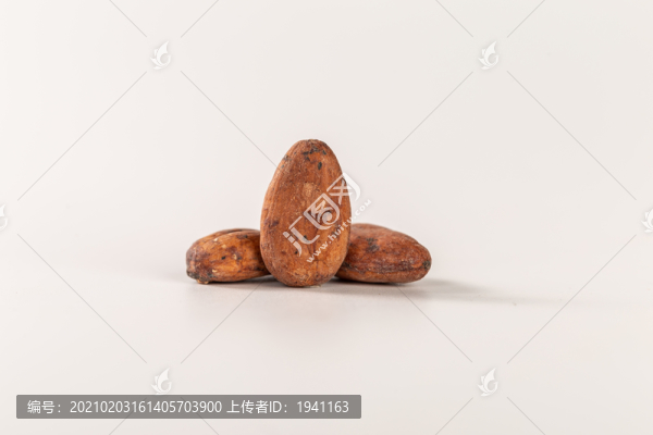 可可豆