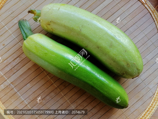 西葫蘆