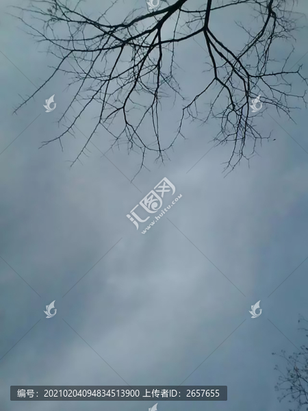 樹枝