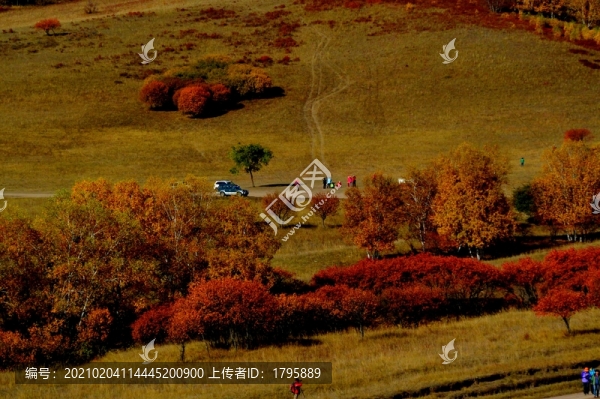 草原