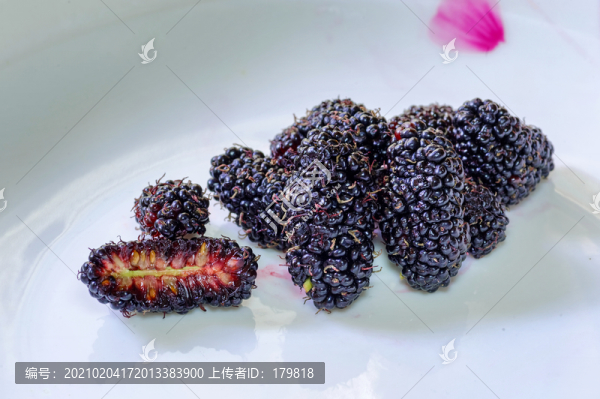 桑葚果實(shí)