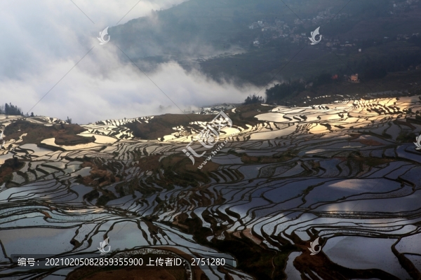 田園梯田