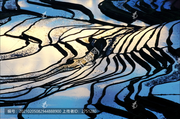 田園梯田