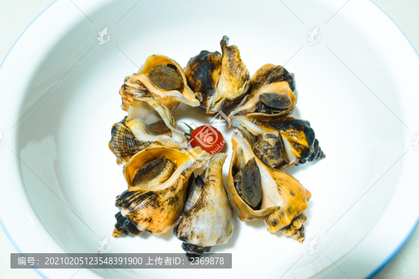 擺放在瓷盤里的生菜葉上的海螺