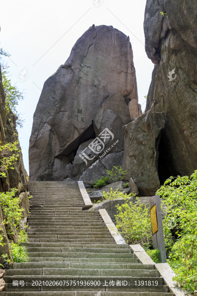 青島嶗山春光