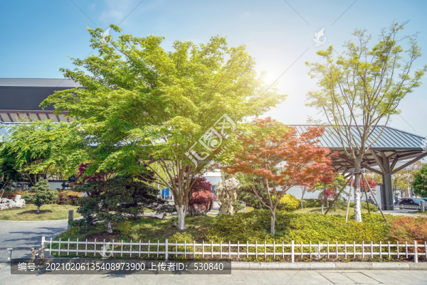 戶外城市街道綠化