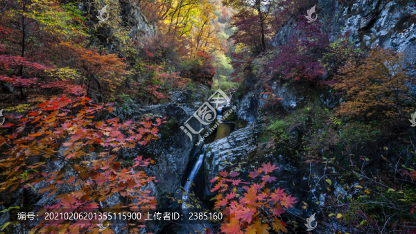 本溪老邊溝紅葉