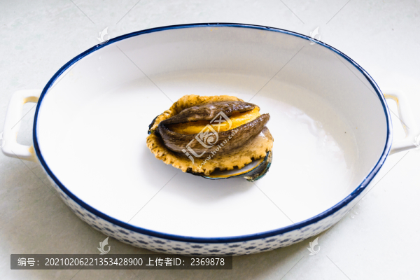 高清鮑魚特寫