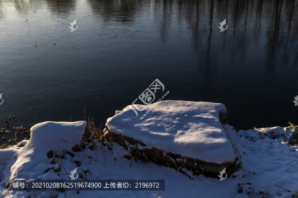 逆光下的湖岸雪景