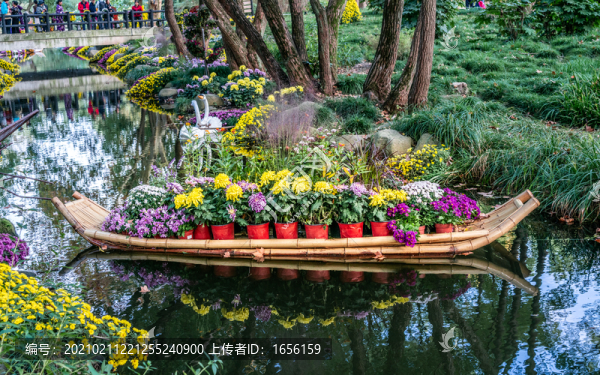 植物水景花壇
