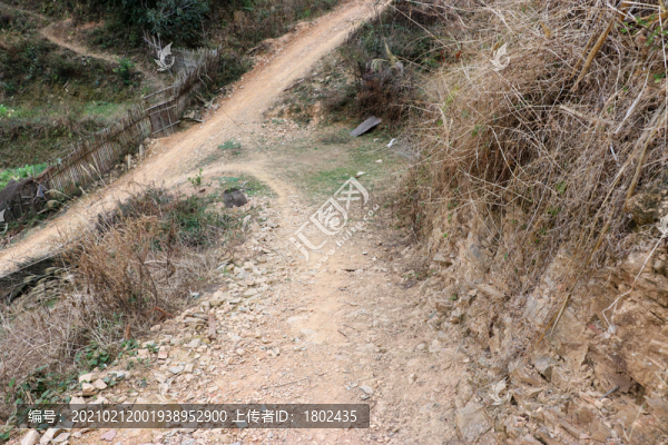 山里路