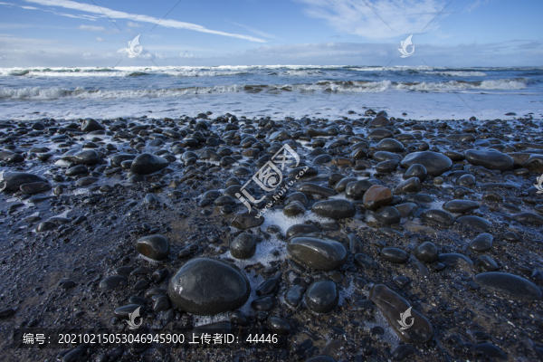 太平洋沿岸卵石海灘