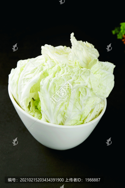 大白菜