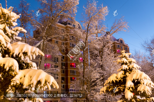 雪打燈