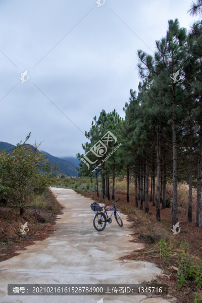 山地道路