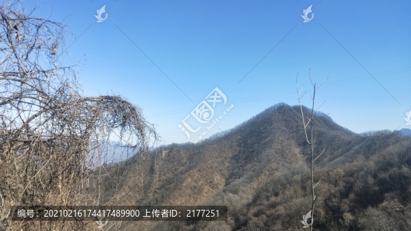 東山再起